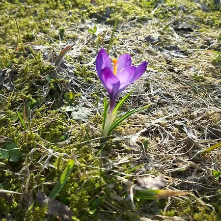 Na Szlaku * Zwardoń